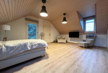 Rare et exclusif • Villa pieds dans l'eau à Saint-Prex